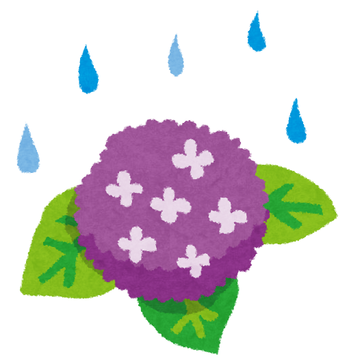 梅雨に入りましたね